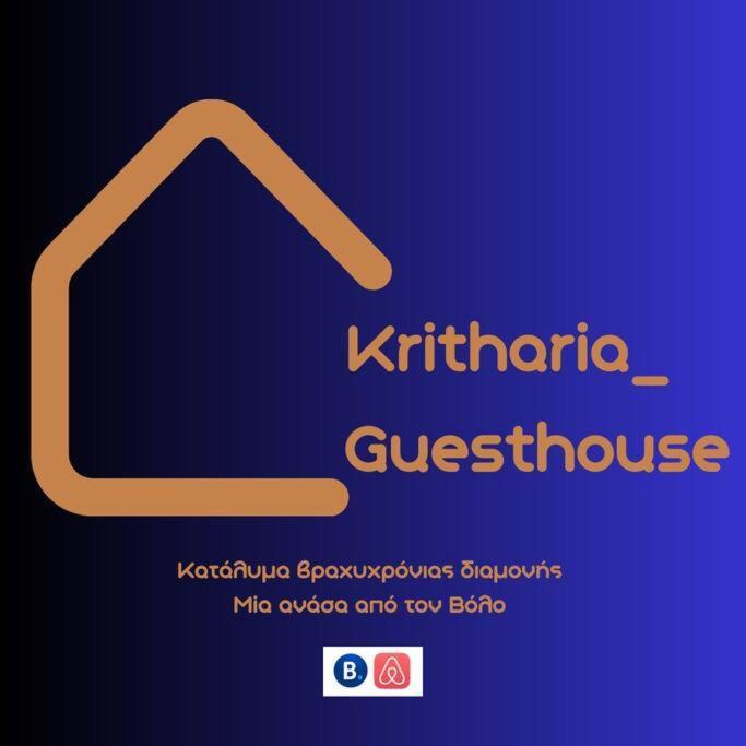 Kritharia Guesthouse Volos Kültér fotó